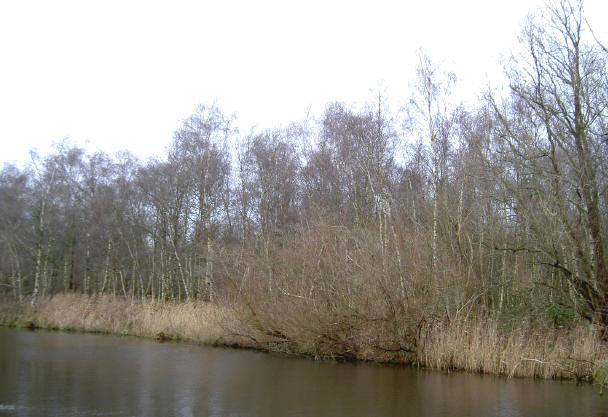 grijsbruin...