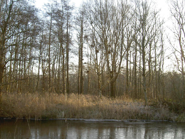 dat kleine beetje ochtendzon zorgt wel net voor de kleur...