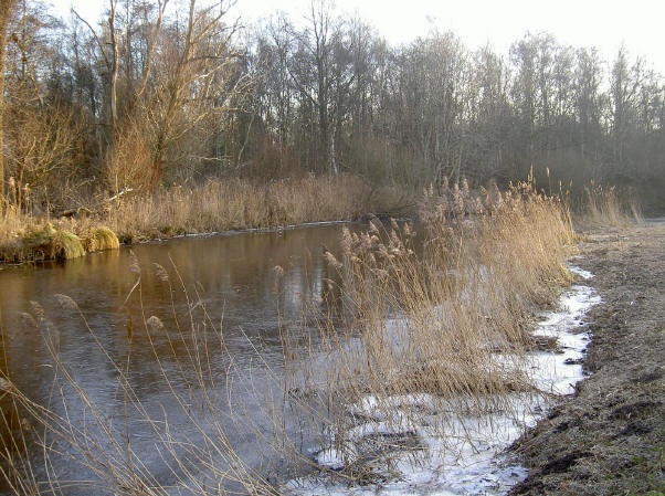 met kleuraccenten...