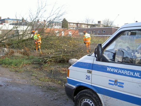 de gemeente haren