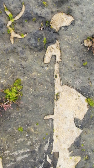 weggewaaide vorm...