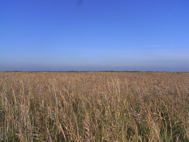 als je hier staat lijkt het heel even een saai landschap...