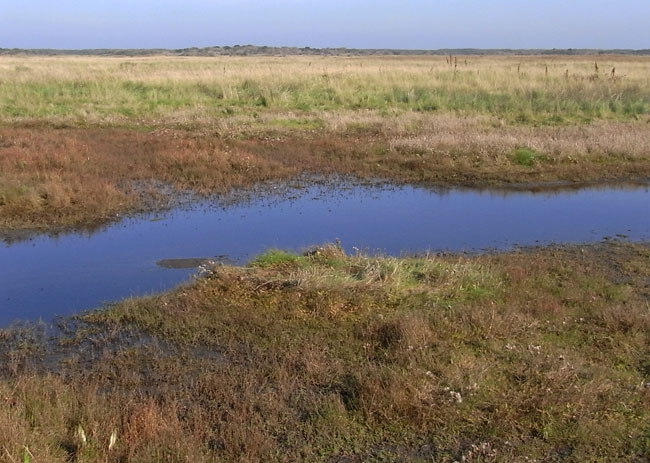 veel water...