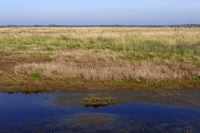 achter de duinen aan de horizon ligt de noordzee...