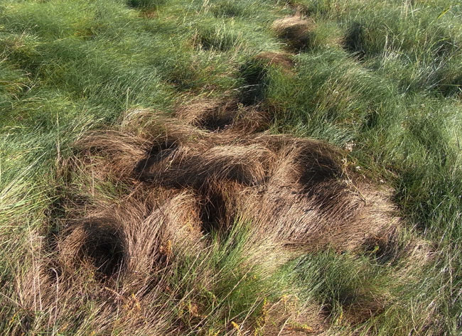 windsculptuur...
