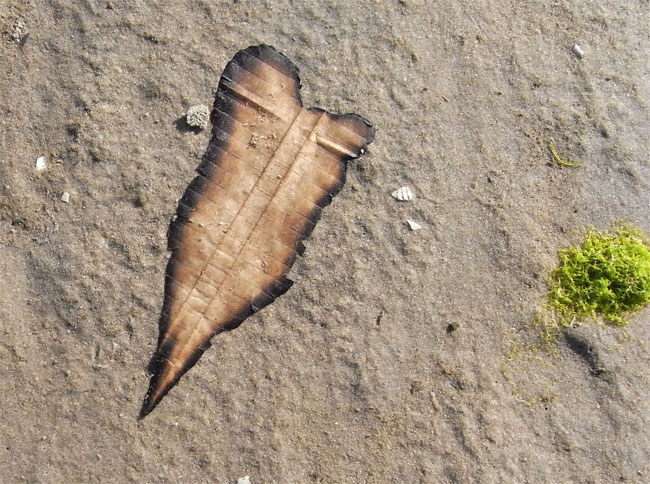 verbrand papiertje...