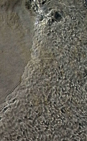 de details...