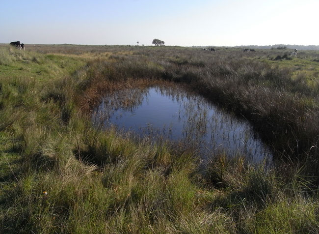 kwelderplas