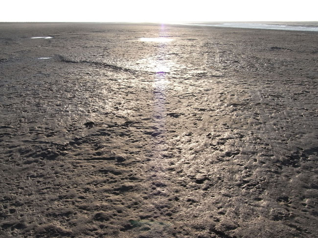 het strand van schiermonnikoog...