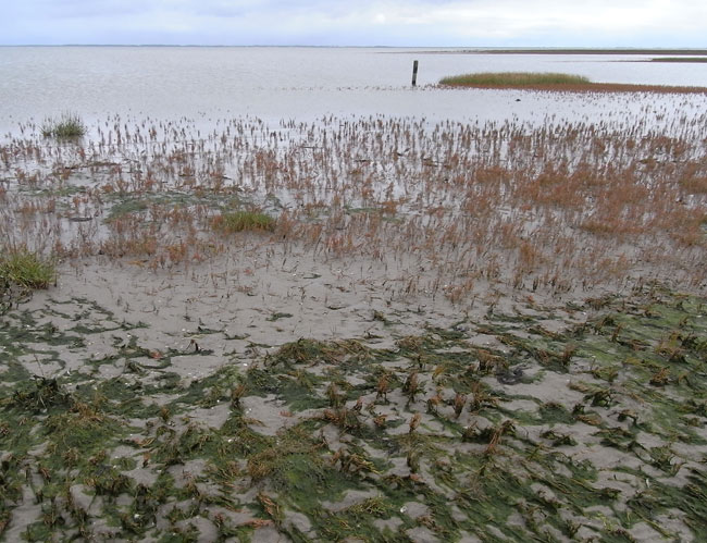 geen zandstrand hier...