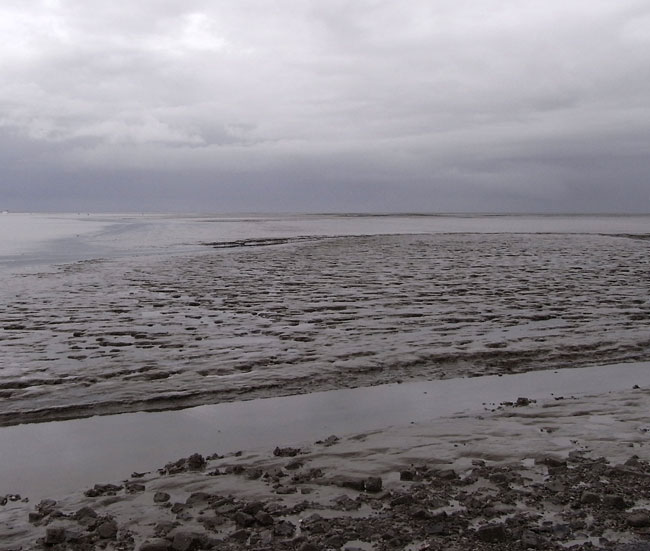 de wadden