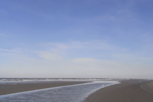 het geruis van de zee