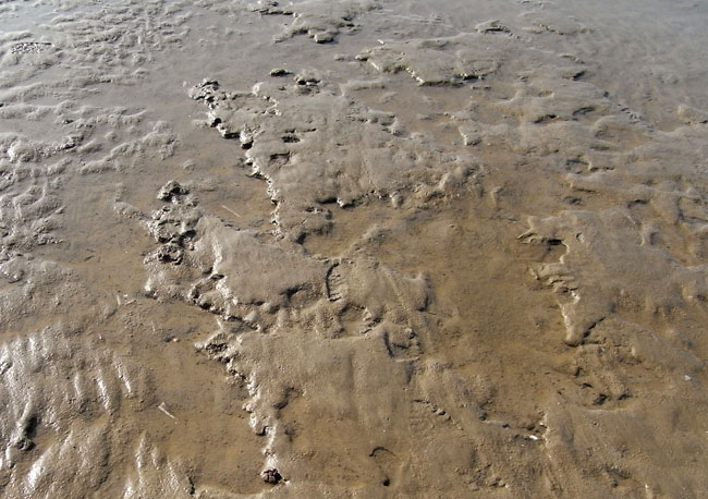 reliefstrand...