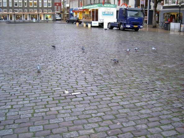 er zijn nog steeds duiven...