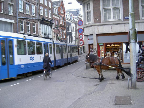 paard wacht op tram...