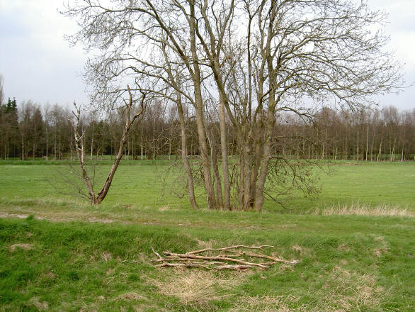 bij westerbroek...