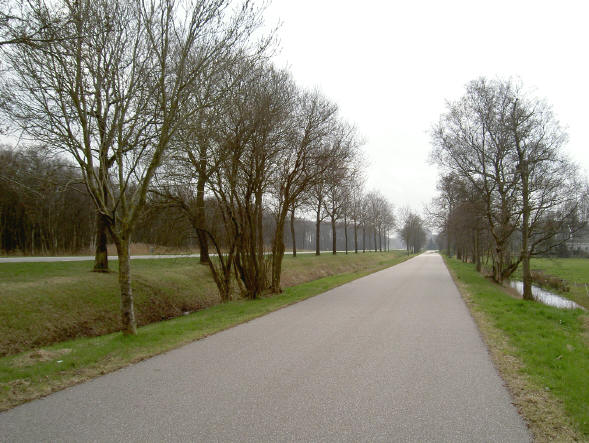 bij haren...