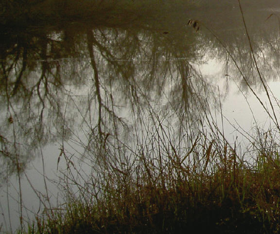 waterspiegeling