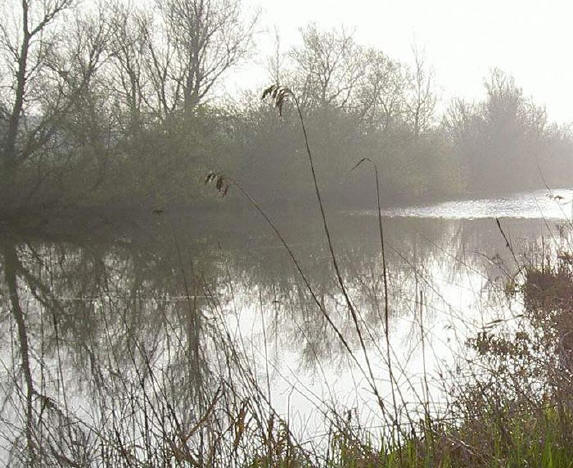 veel water overal...