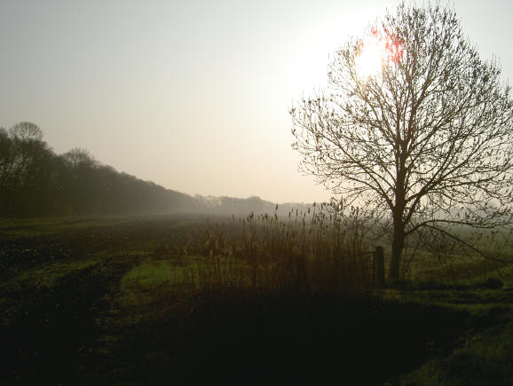 een waterig ochtendzonnetje...