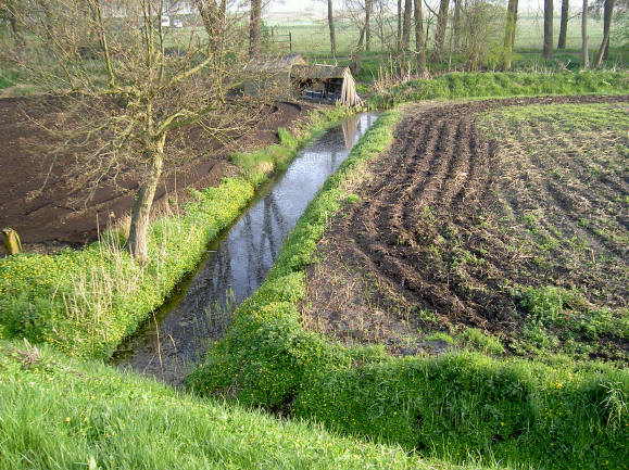 veldjes langs de dijk...