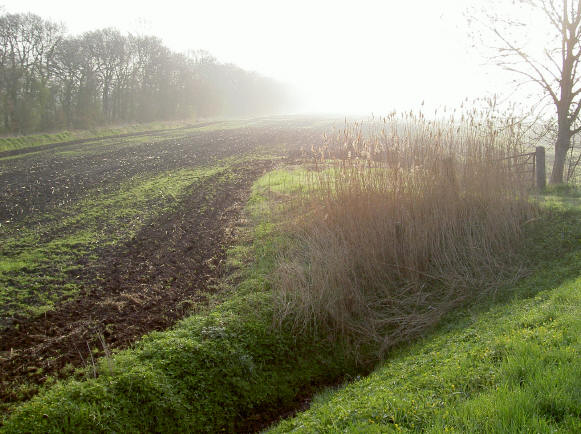 grunneger land...