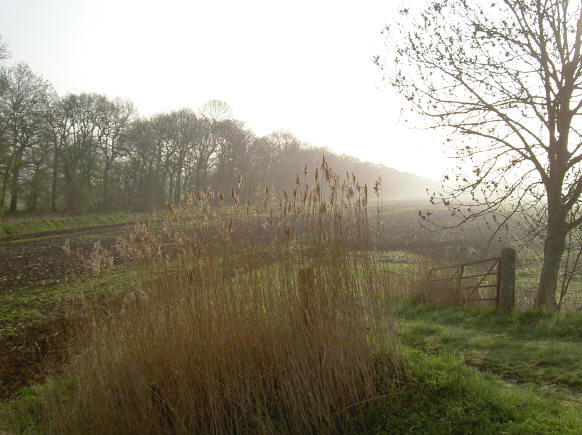 langs de dijk...