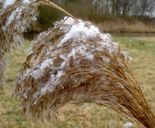 hagel...