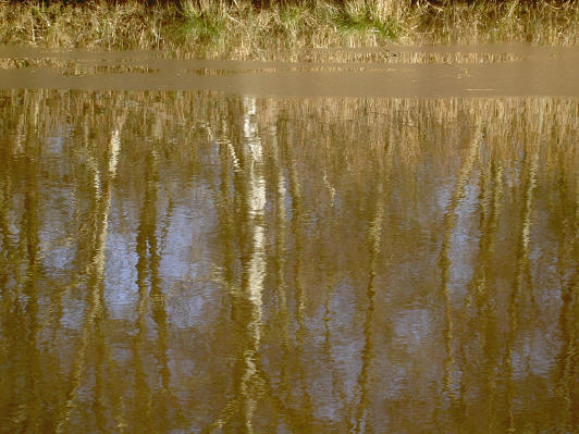 weerspiegeling...
