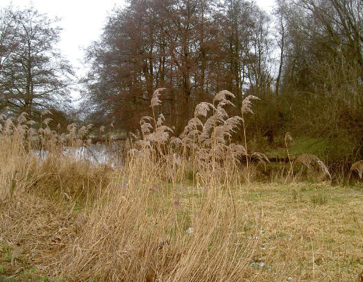 ook in de winter is er kleur...