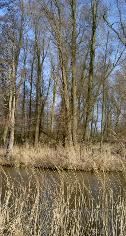 winter op de dijk...