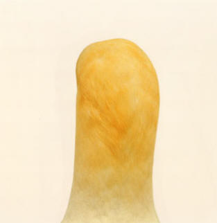 vogel 2