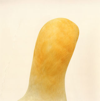 vogel...