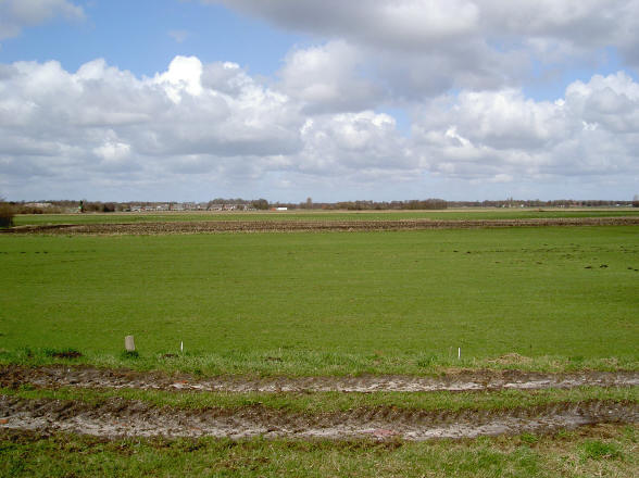 groene velden...