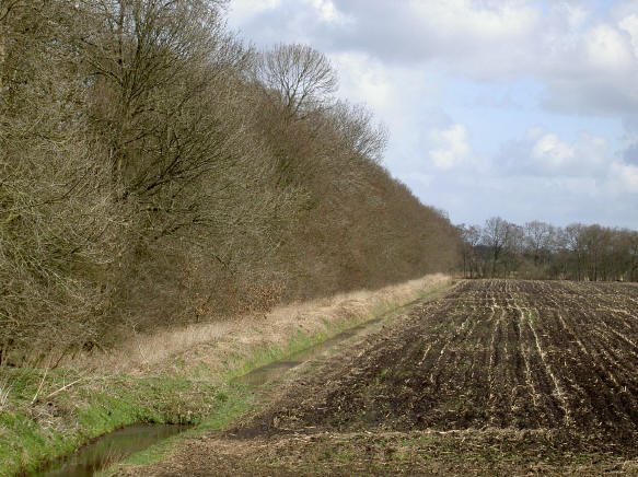 zwarte grond...