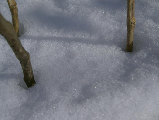 het blijft merkwaardig spul, sneeuw...