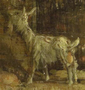 detail