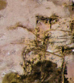 detail