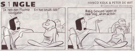 de versie van het parool