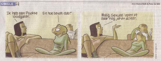 de versie in het dagblad van het noorden