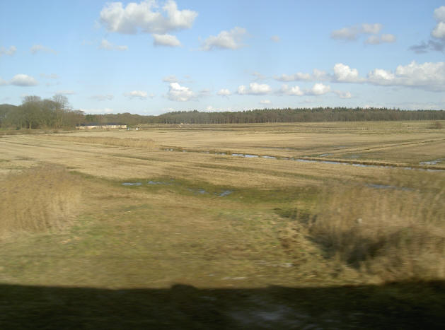 drentse hei