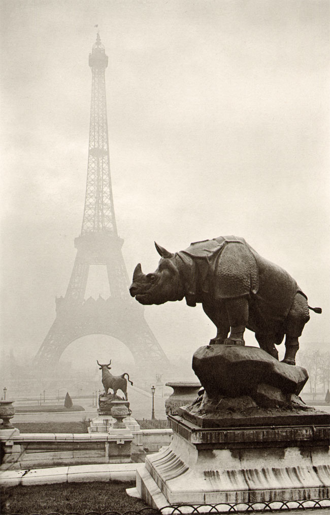 neushoorn en eiffeltoren...