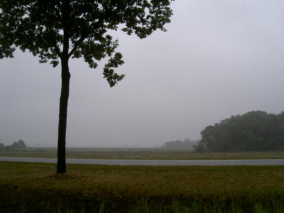 molen in de mist...