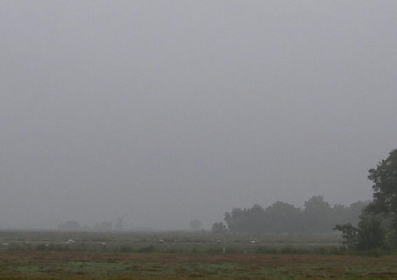 zoom op de molen...