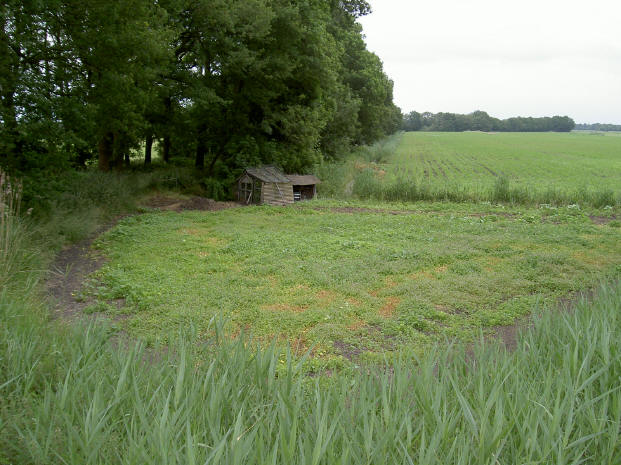 16 juni 2006