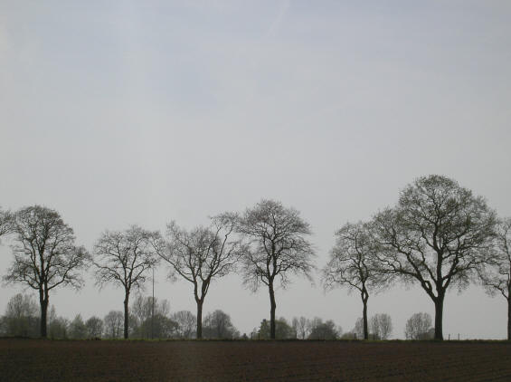 bij midlaren...