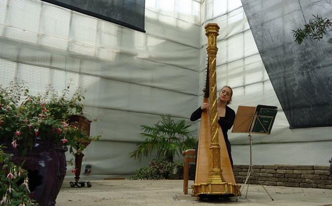 harp in de hortus...