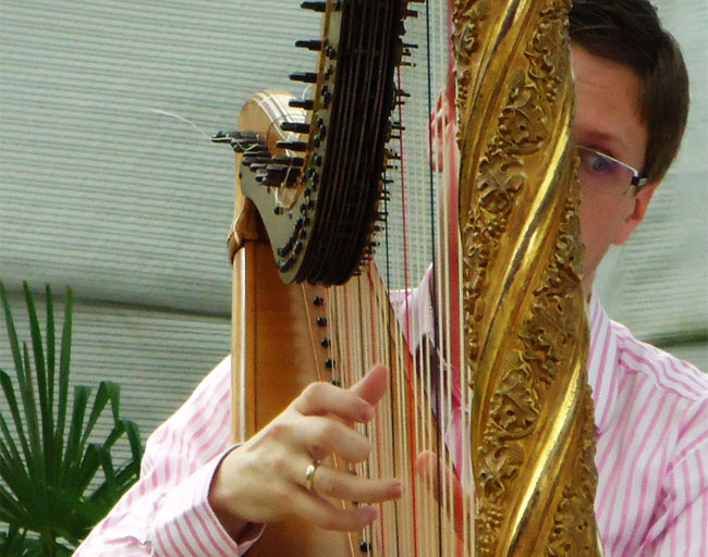 erik groenestein-hendriks