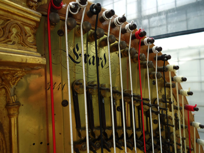de erard harp
