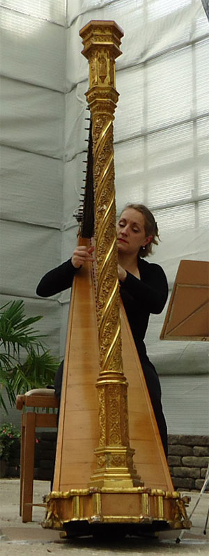 overlach en de erard harp